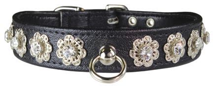 Leather Brothers Starburst Dog Collar